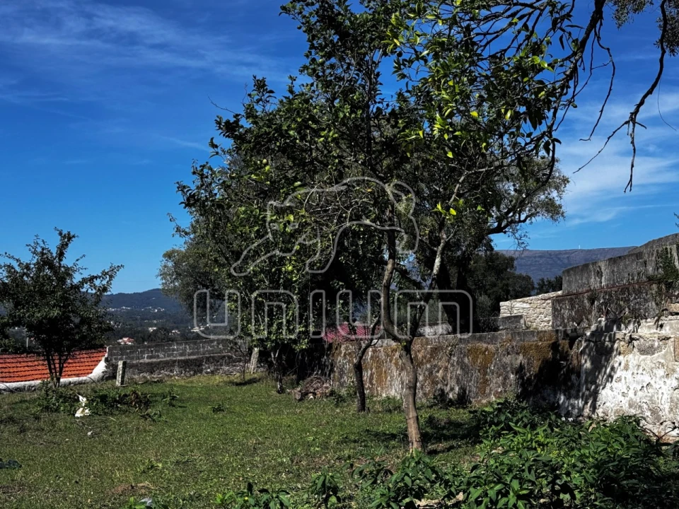Quinta T4 para Venda em Subportela, Deocriste e Portela Susã Foto 23