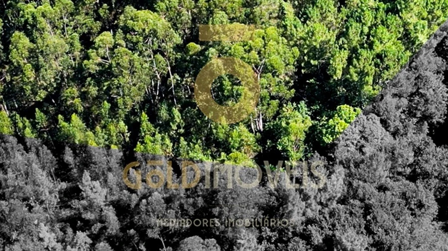 Terreno Agricola ou Rústico para Venda em Nespereira