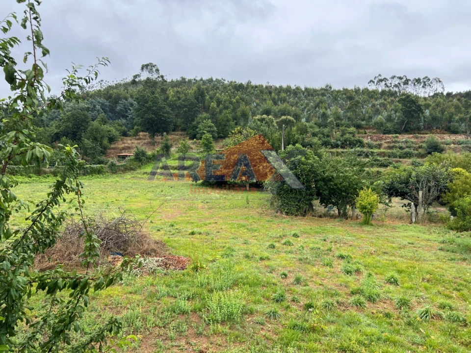 Moradia T5 para Venda em O. Azeméis, Riba-Ul, Ul, Macinhata Seixa, Madail Foto 27