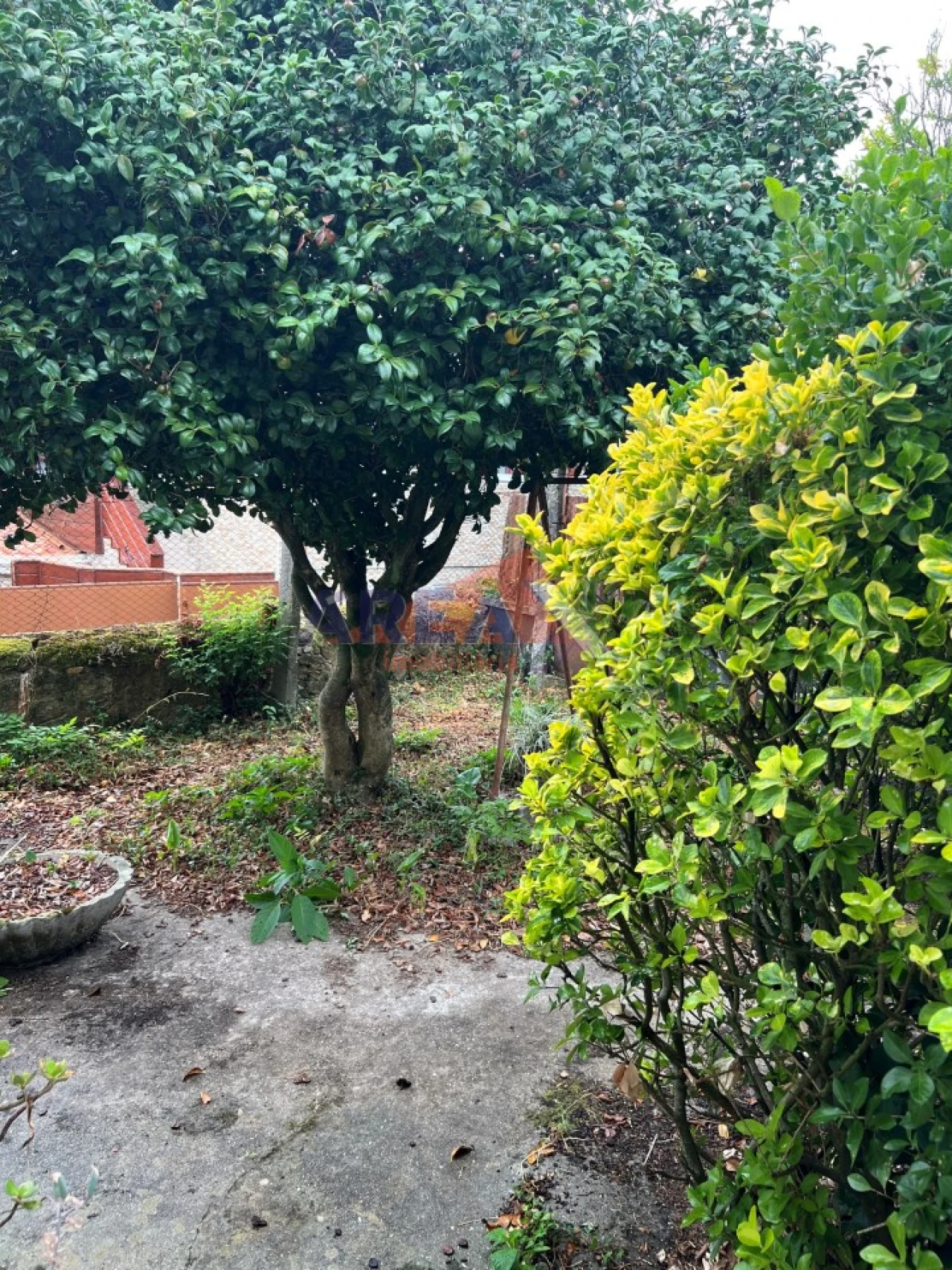Moradia T5 para Venda em O. Azeméis, Riba-Ul, Ul, Macinhata Seixa, Madail Foto 44