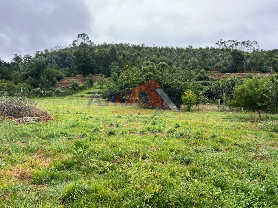 Moradia T5 para Venda em O. Azeméis, Riba-Ul, Ul, Macinhata Seixa, Madail Foto 77