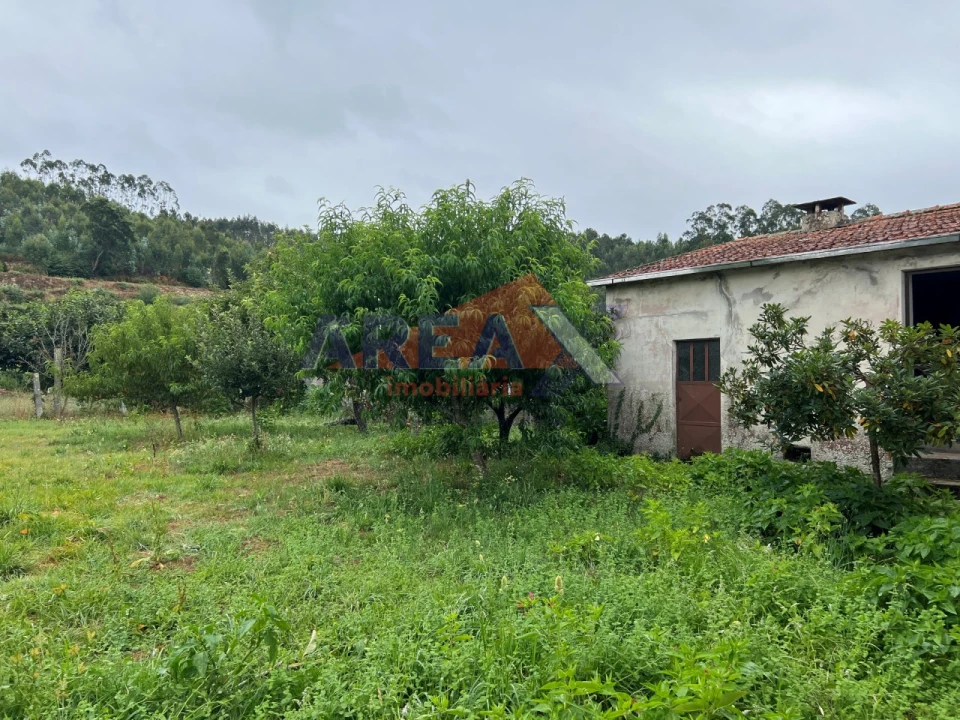 Moradia T5 para Venda em O. Azeméis, Riba-Ul, Ul, Macinhata Seixa, Madail Foto 78