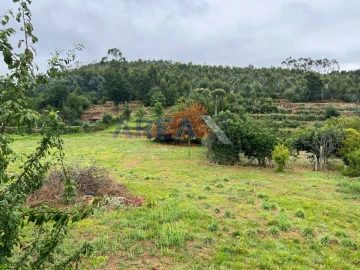Moradia T5 para Venda em O. Azeméis, Riba-Ul, Ul, Macinhata Seixa, Madail
