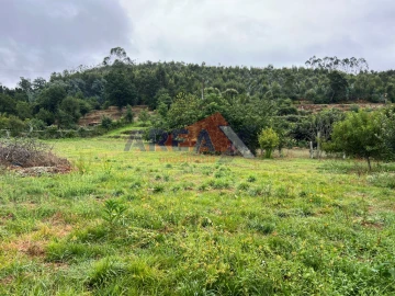 Moradia T5 para Venda em O. Azeméis, Riba-Ul, Ul, Macinhata Seixa, Madail