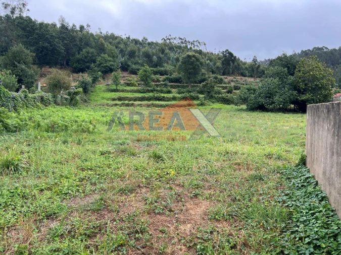 Moradia T5 para Venda em O. Azeméis, Riba-Ul, Ul, Macinhata Seixa, Madail Foto 73