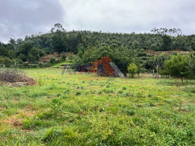 Moradia T5 para Venda em O. Azeméis, Riba-Ul, Ul, Macinhata Seixa, Madail Foto 77