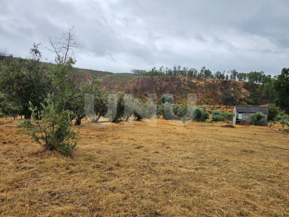 Terreno Agricola ou Rústico para Venda em São Vicente da Beira Foto 4