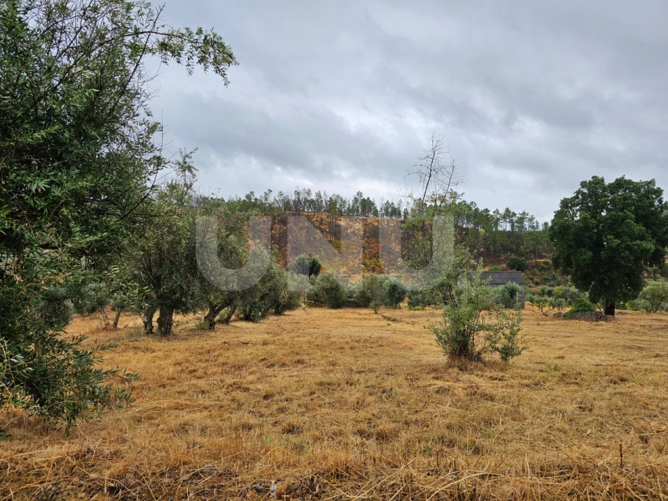 Terreno Agricola ou Rústico para Venda em São Vicente da Beira Foto 1