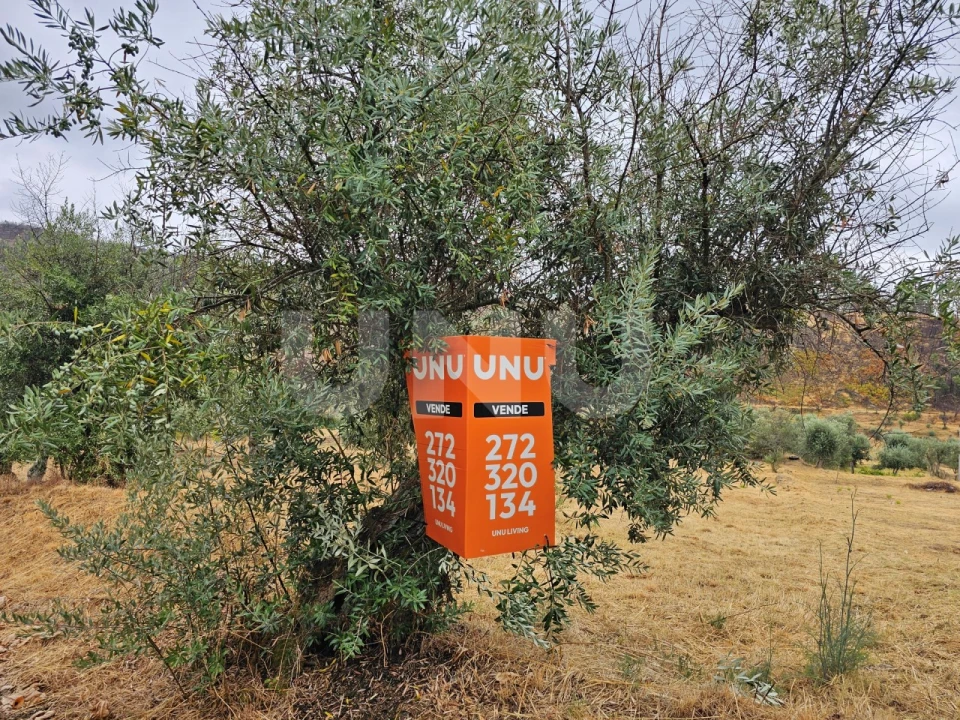 Terreno Agricola ou Rústico para Venda em São Vicente da Beira Foto 2