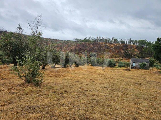 Terreno Agricola ou Rústico para Venda em São Vicente da Beira Foto 4