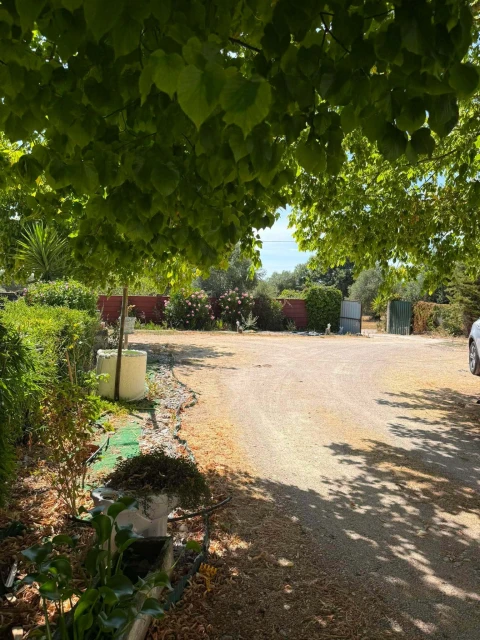 Moradia T3 para Venda em Paialvo