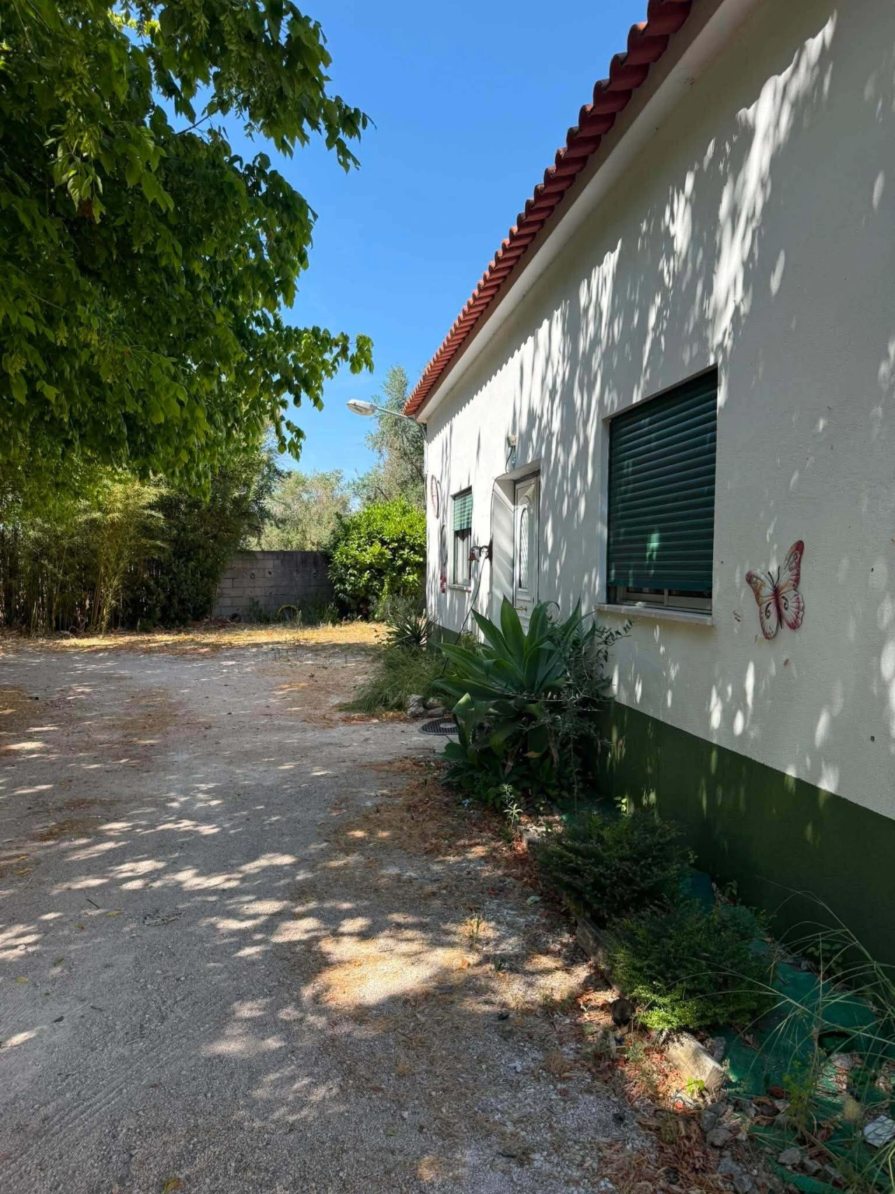 Moradia T3 para Venda em Paialvo Foto 2