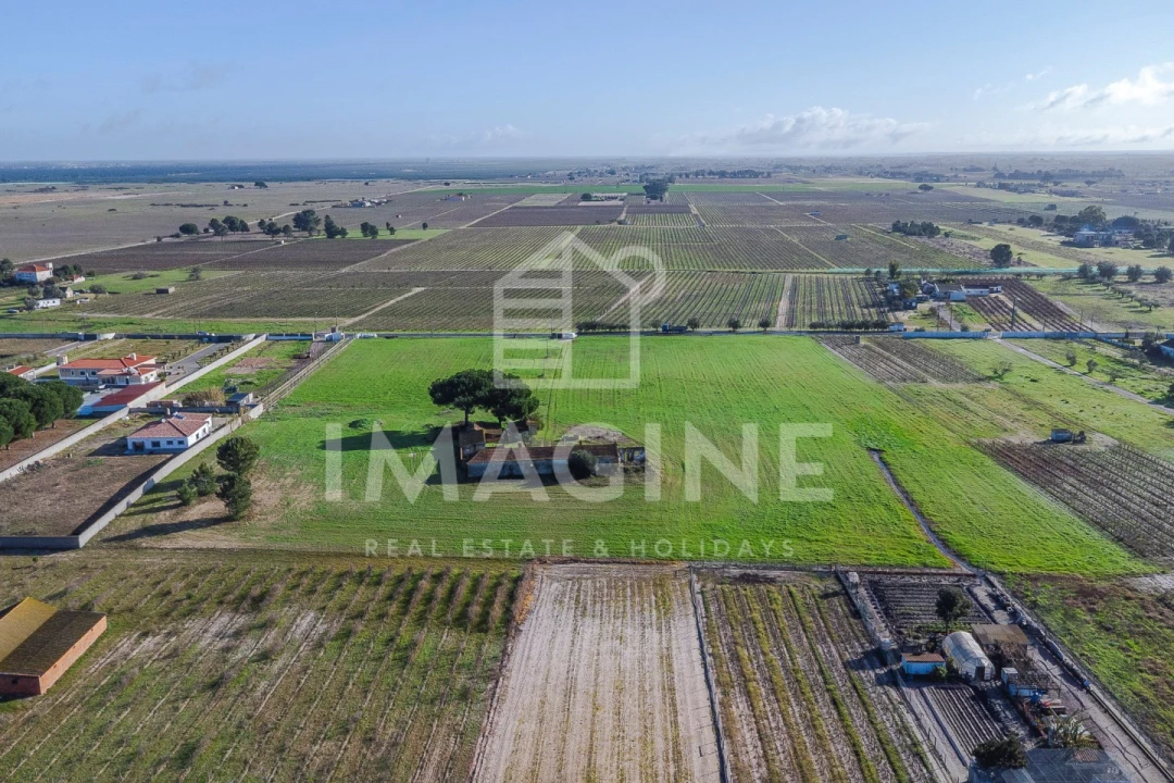 Terreno para Venda em Pinhal Novo Foto 5