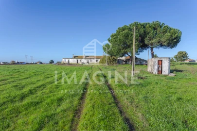 Terreno para Venda em Pinhal Novo