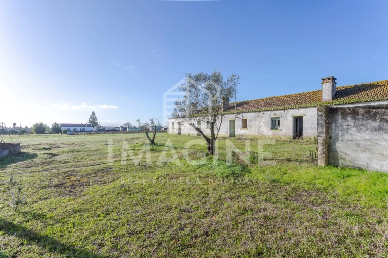 Terreno para Venda em Pinhal Novo Foto 12