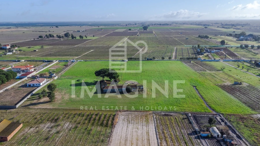 Terreno para Venda em Pinhal Novo