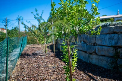 Moradia T5 para Venda em São Brás de Alportel