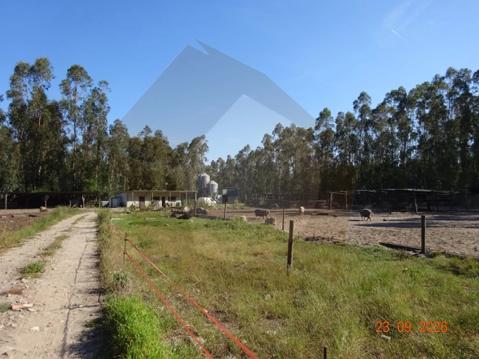 Negócio para Venda em Covões e Camarneira Foto 1