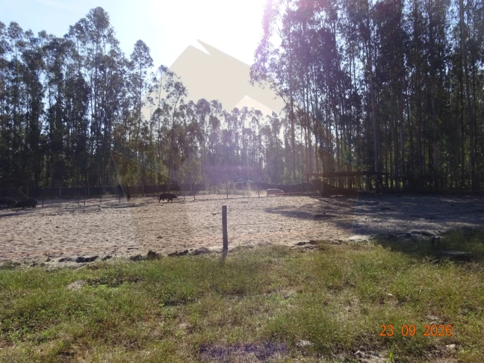 Negócio para Venda em Covões e Camarneira Foto 2