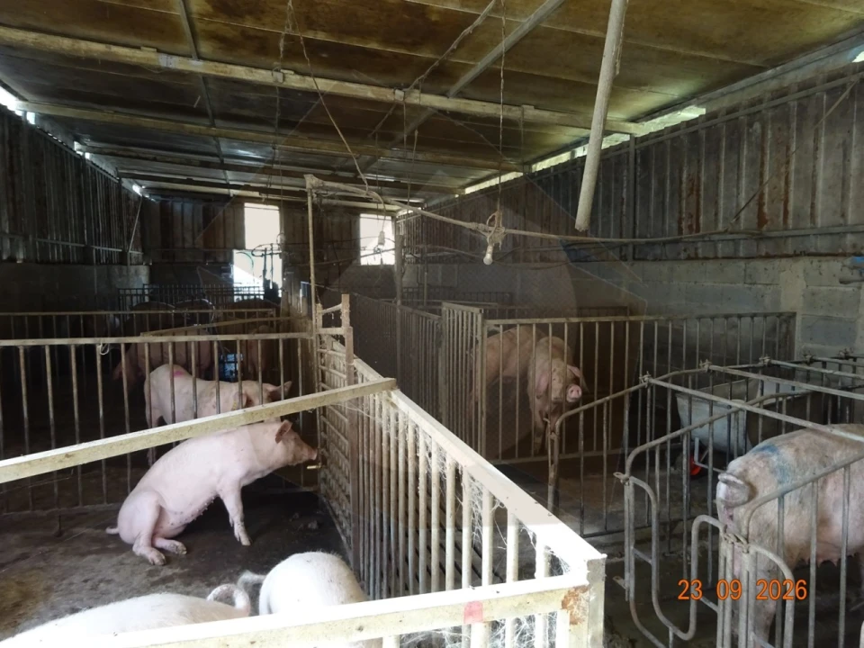 Negócio para Venda em Covões e Camarneira Foto 4