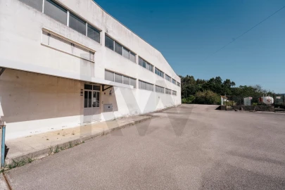 Armazém para Venda em Gois