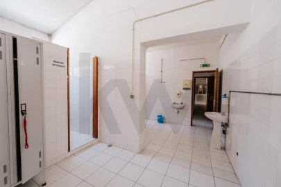 Armazém para Venda em Gois
