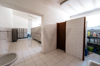 Armazém para Venda em Gois