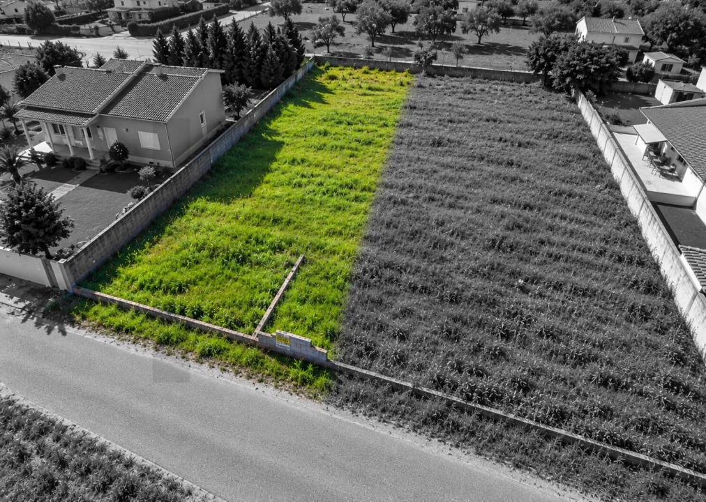 Terreno para Venda em Glória do Ribatejo e Granho Foto 4
