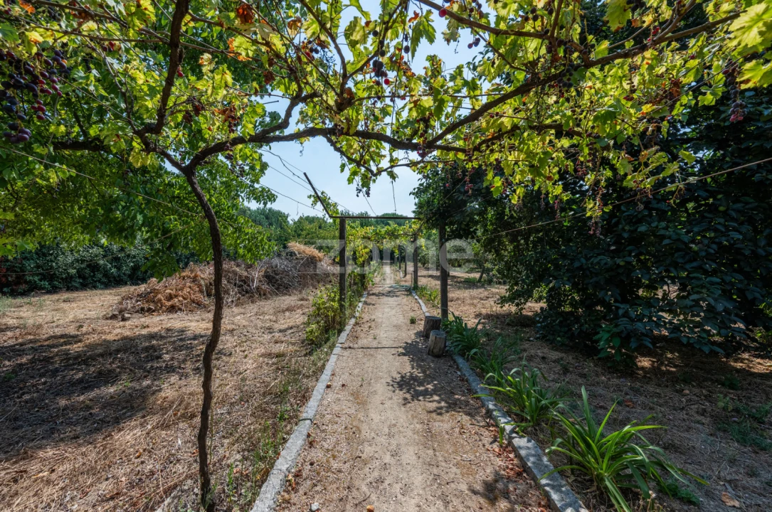 Quinta T8 para Venda em Pedreira, Rande e Sernande Foto 38