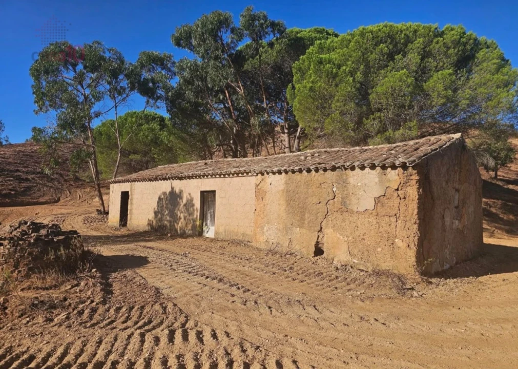 Terreno para Venda em Saboia Foto 1