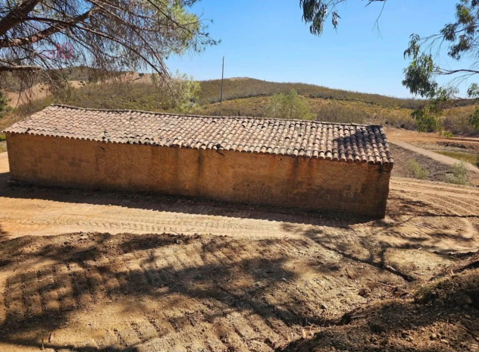 Terreno para Venda em Saboia Foto 2
