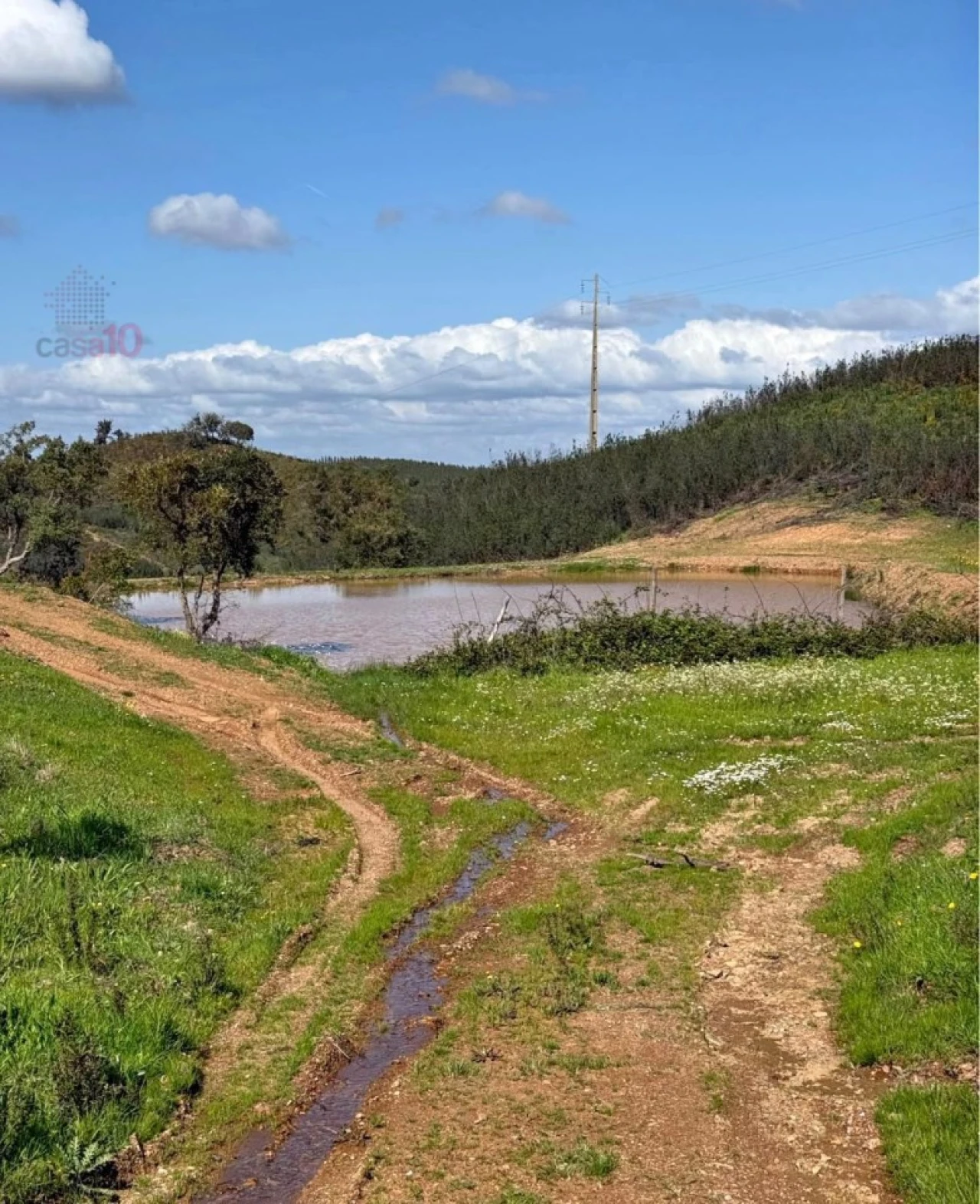 Terreno para Venda em Saboia Foto 3