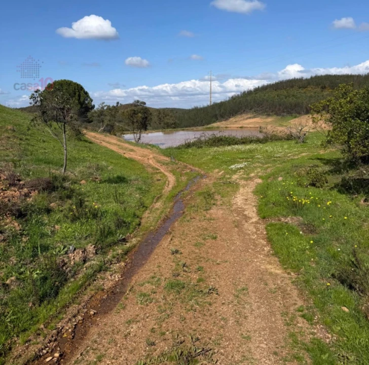 Terreno para Venda em Saboia Foto 4