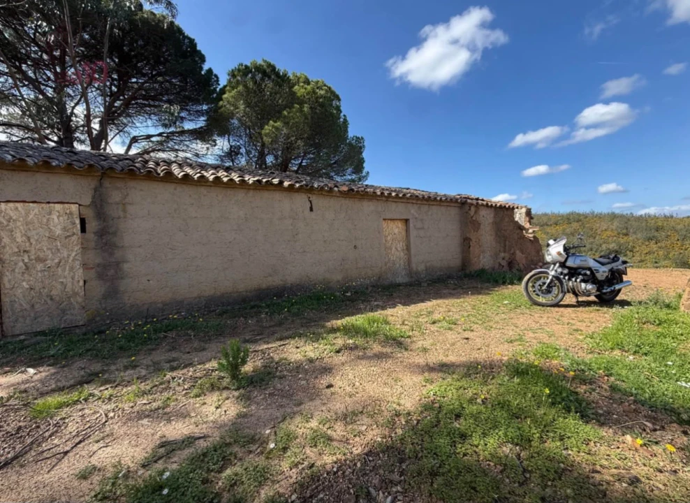 Terreno para Venda em Saboia Foto 5