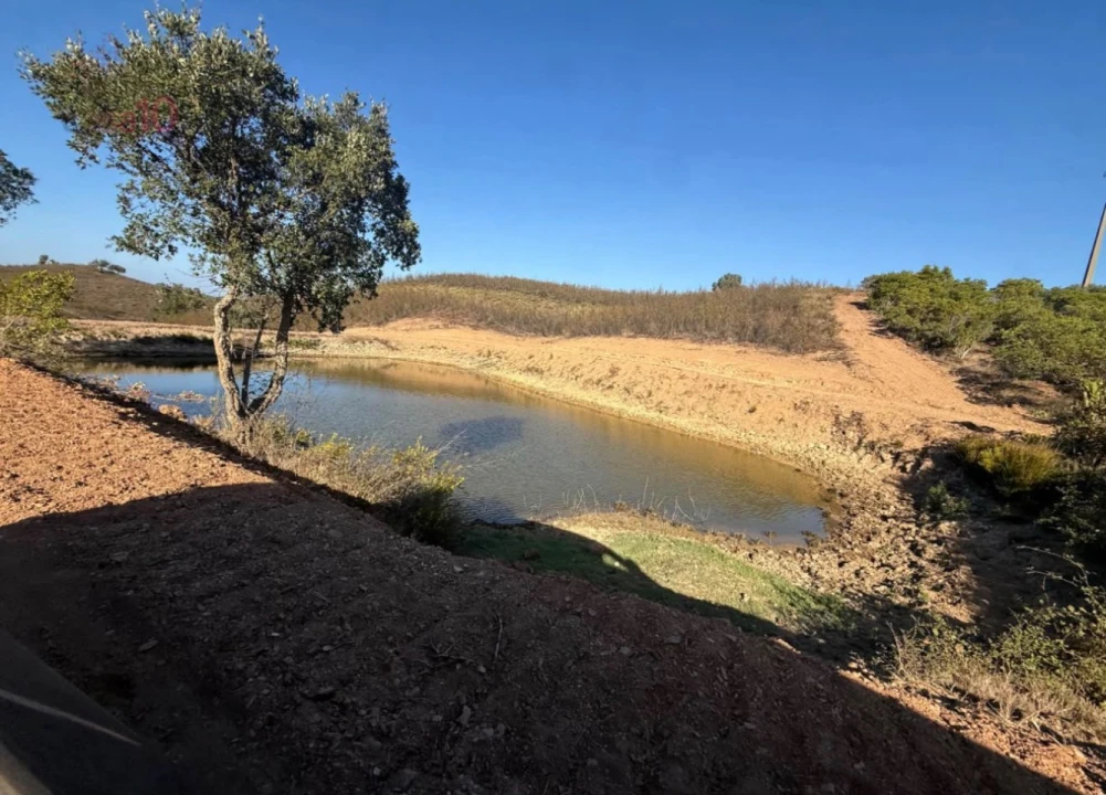 Terreno para Venda em Saboia Foto 7