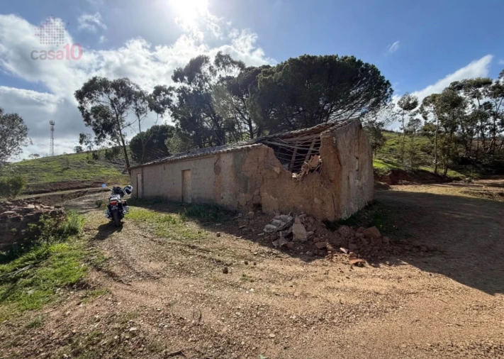 Terreno para Venda em Saboia Foto 6