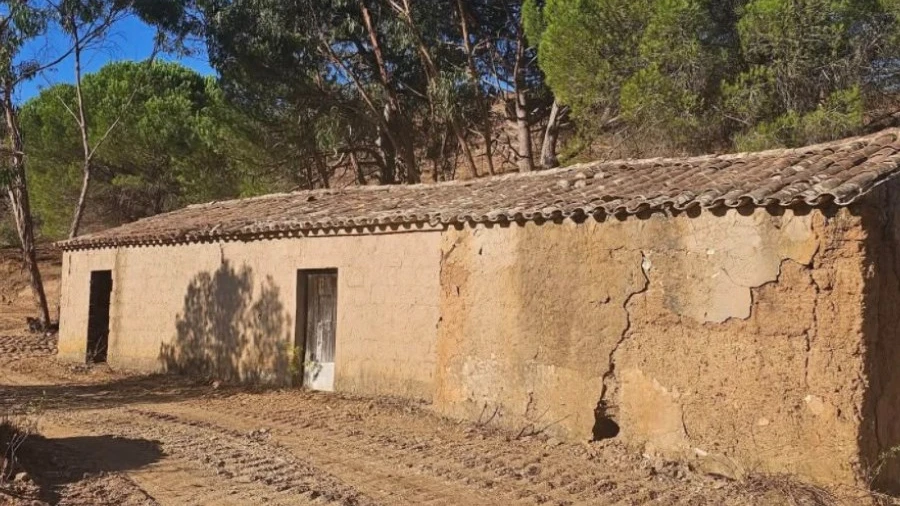 Terreno para Venda em Saboia