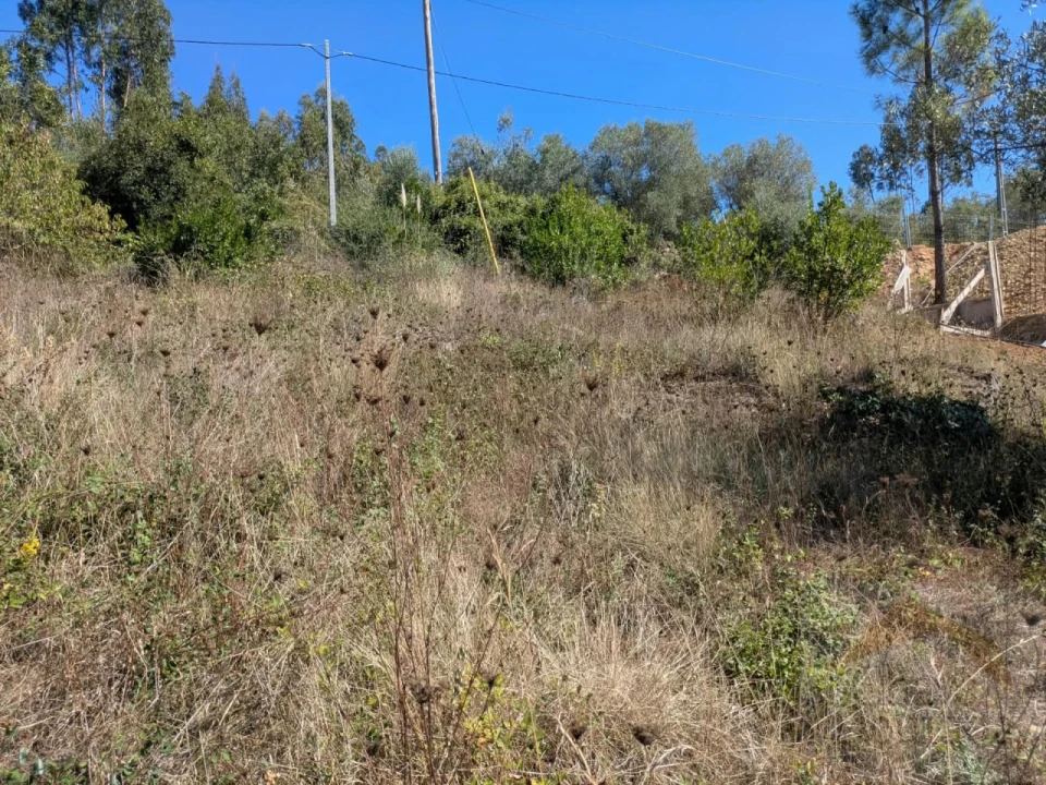 Terreno para Venda em Assafarge e Antanhol Foto 5