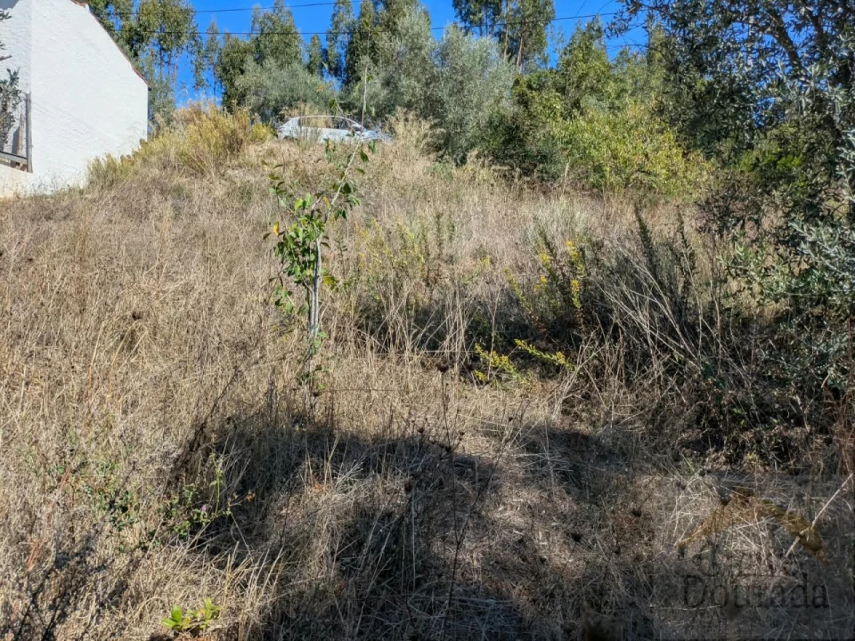 Terreno para Venda em Assafarge e Antanhol Foto 6