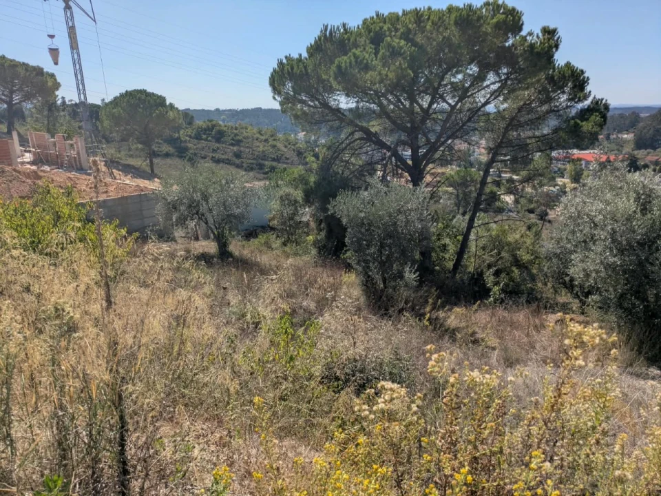 Terreno para Venda em Assafarge e Antanhol Foto 4