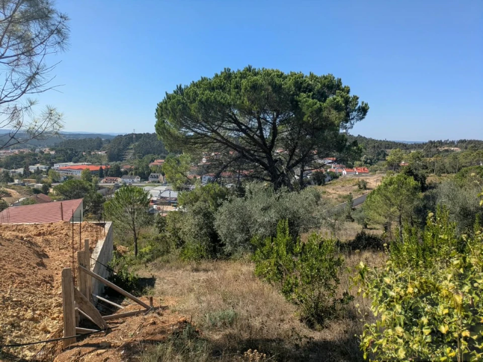 Terreno para Venda em Assafarge e Antanhol Foto 3