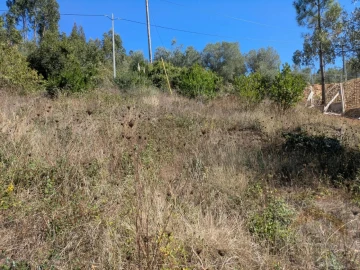Terreno para Venda em Assafarge e Antanhol