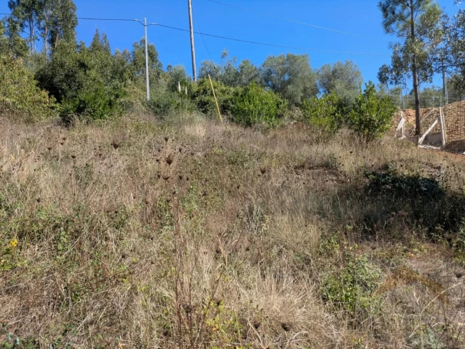 Terreno para Venda em Assafarge e Antanhol Foto 5