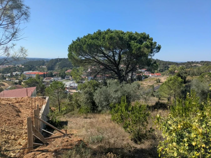 Terreno para Venda em Assafarge e Antanhol Foto 3