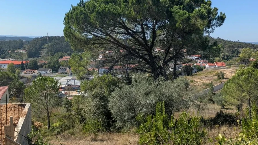 Terreno para Venda em Assafarge e Antanhol