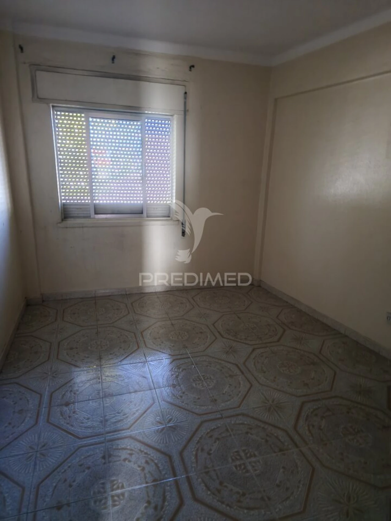 Apartamento T4 para Venda em Sé e São Lourenço Foto 6