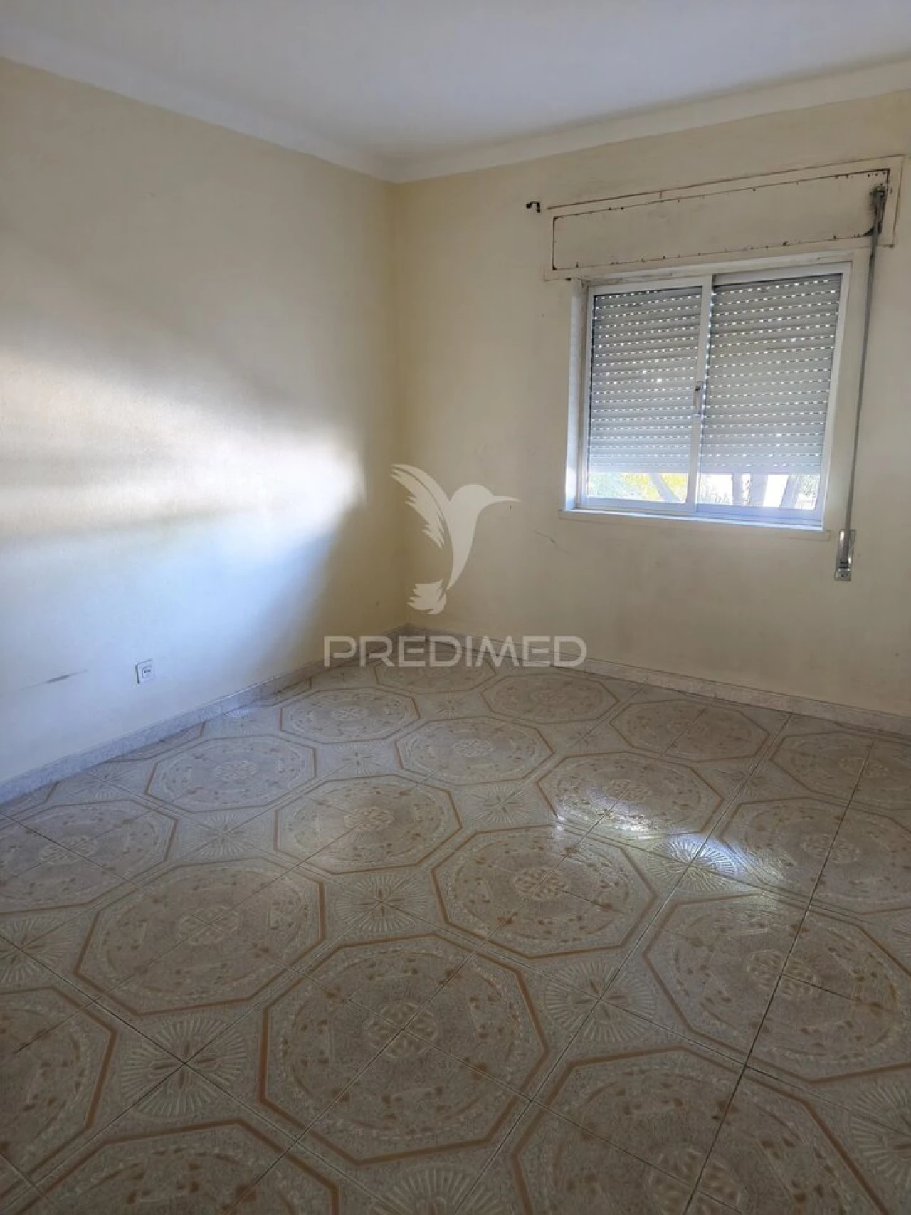 Apartamento T4 para Venda em Sé e São Lourenço Foto 5