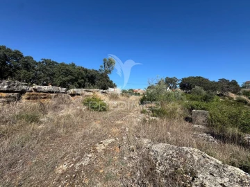 Terreno para Venda em Nossa Senhora das Misericordias