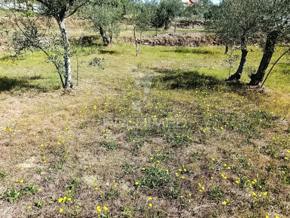 Terreno para Venda em Nossa Senhora da Conceição, São Pedro e São Dinis Foto 10