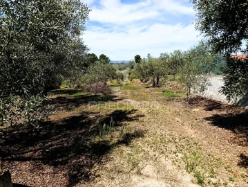 Terreno para Venda em Nossa Senhora da Conceição, São Pedro e São Dinis